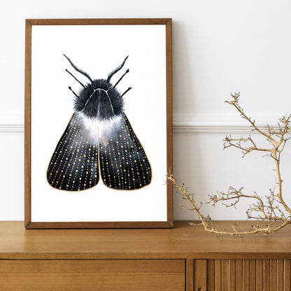 Affiche de Papillon de Nuit or et noir, Illustration d'insecte