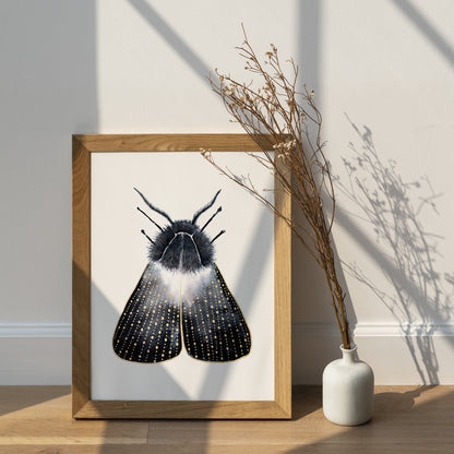 Affiche de Papillon de Nuit or et noir, Illustration d'insecte