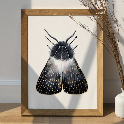 Affiche de Papillon de Nuit or et noir, Illustration d'insecte