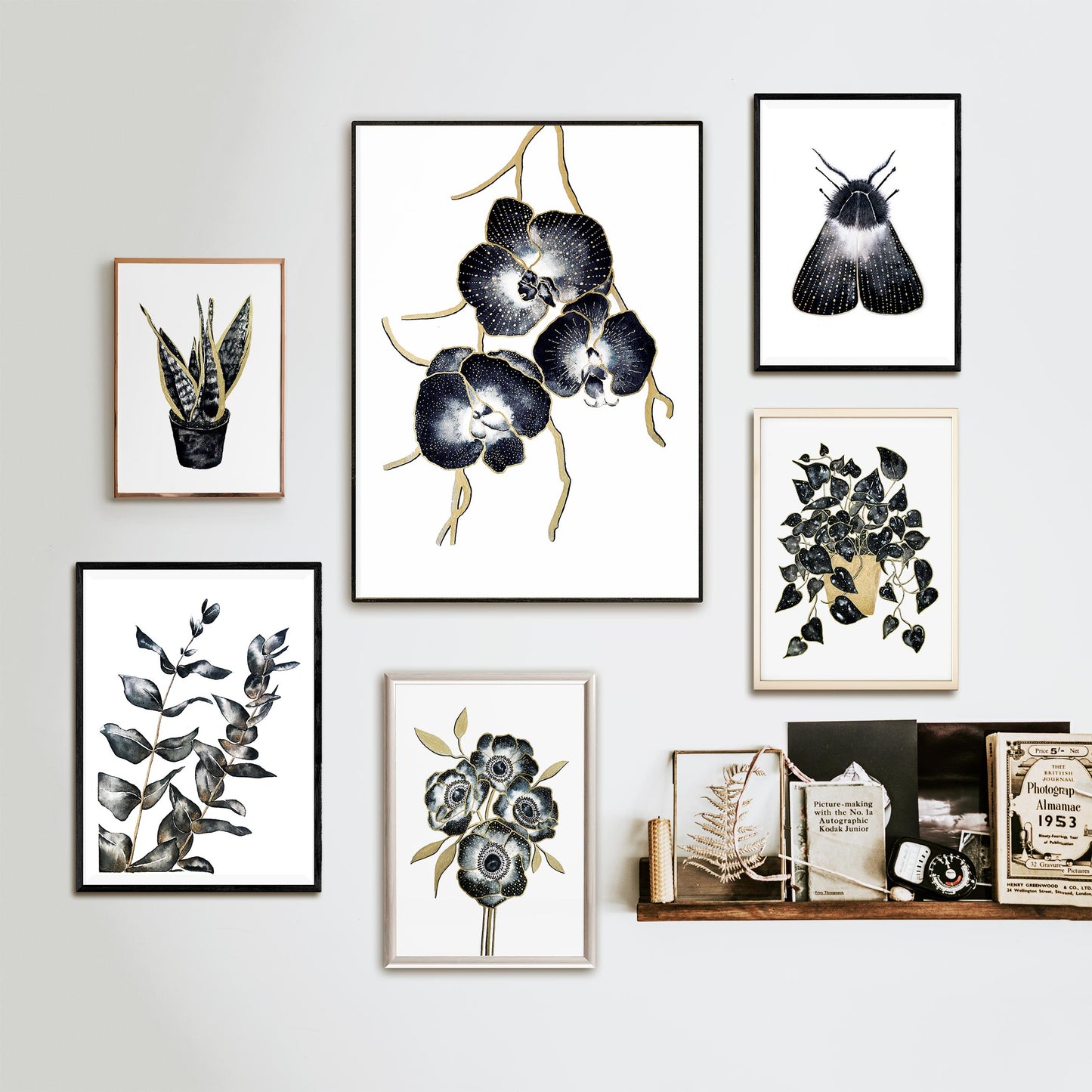 Affiche de fleurs orchidées, art mural floral 