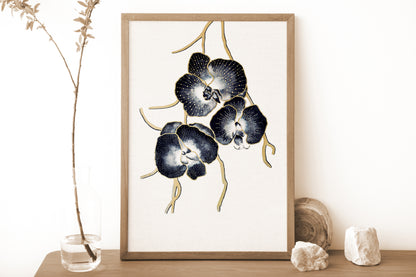 Affiche de fleurs orchidées, art mural floral 