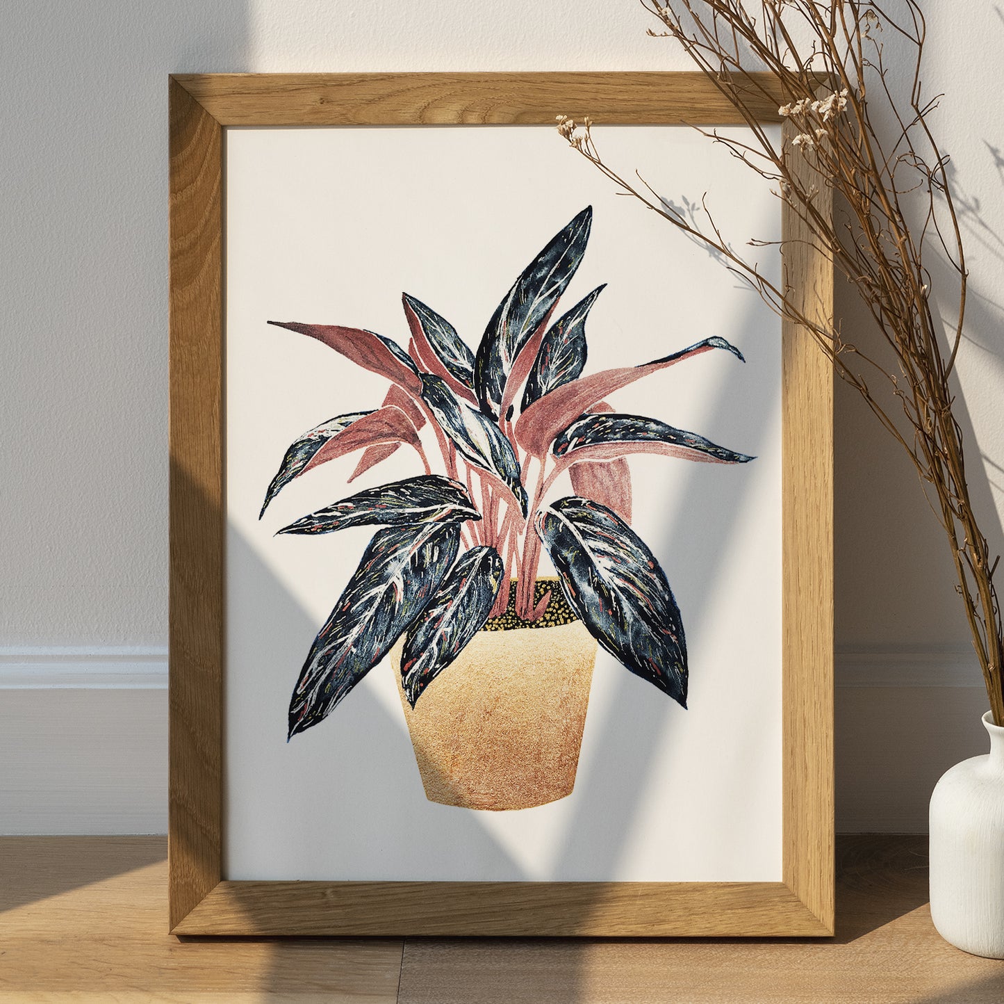 Affiche de plante Stromanthe, illustration botanique colorée
