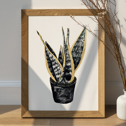 Affiche de plante Haworthia, illustration botanique en noir et or