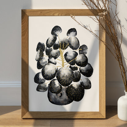 Affiche de plante Pilea, illustration botanique noir et or