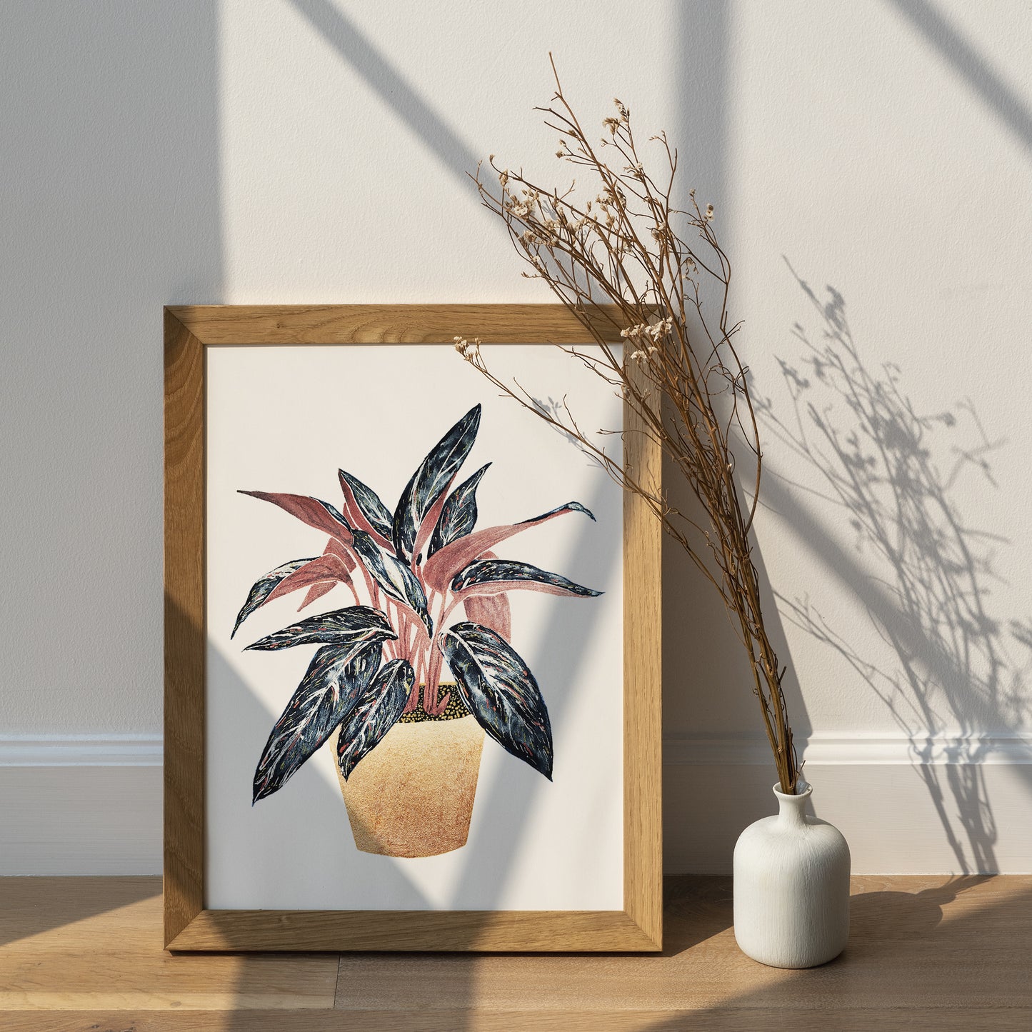 Affiche de plante Stromanthe, illustration botanique colorée