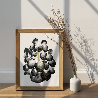 Affiche de plante Pilea, illustration botanique noir et or