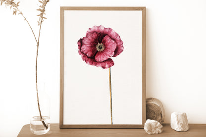 Affiche de fleur Coquelicot, art mural floral 