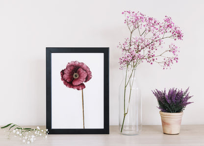 Affiche de fleur Coquelicot, art mural floral 