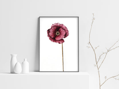 Affiche de fleur Coquelicot, art mural floral 
