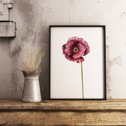 Affiche de fleur Coquelicot, art mural floral 