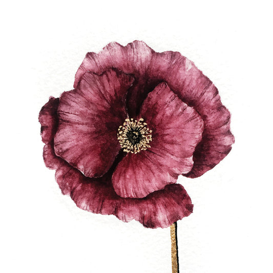 Affiche de fleur Coquelicot, art mural floral 