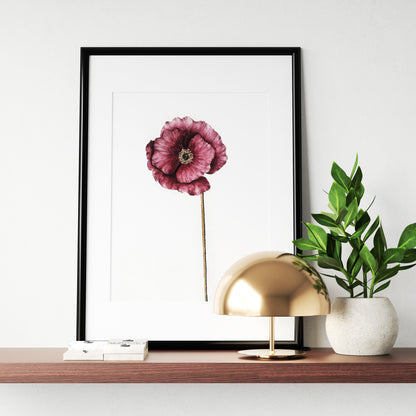 Affiche de fleur Coquelicot, art mural floral 