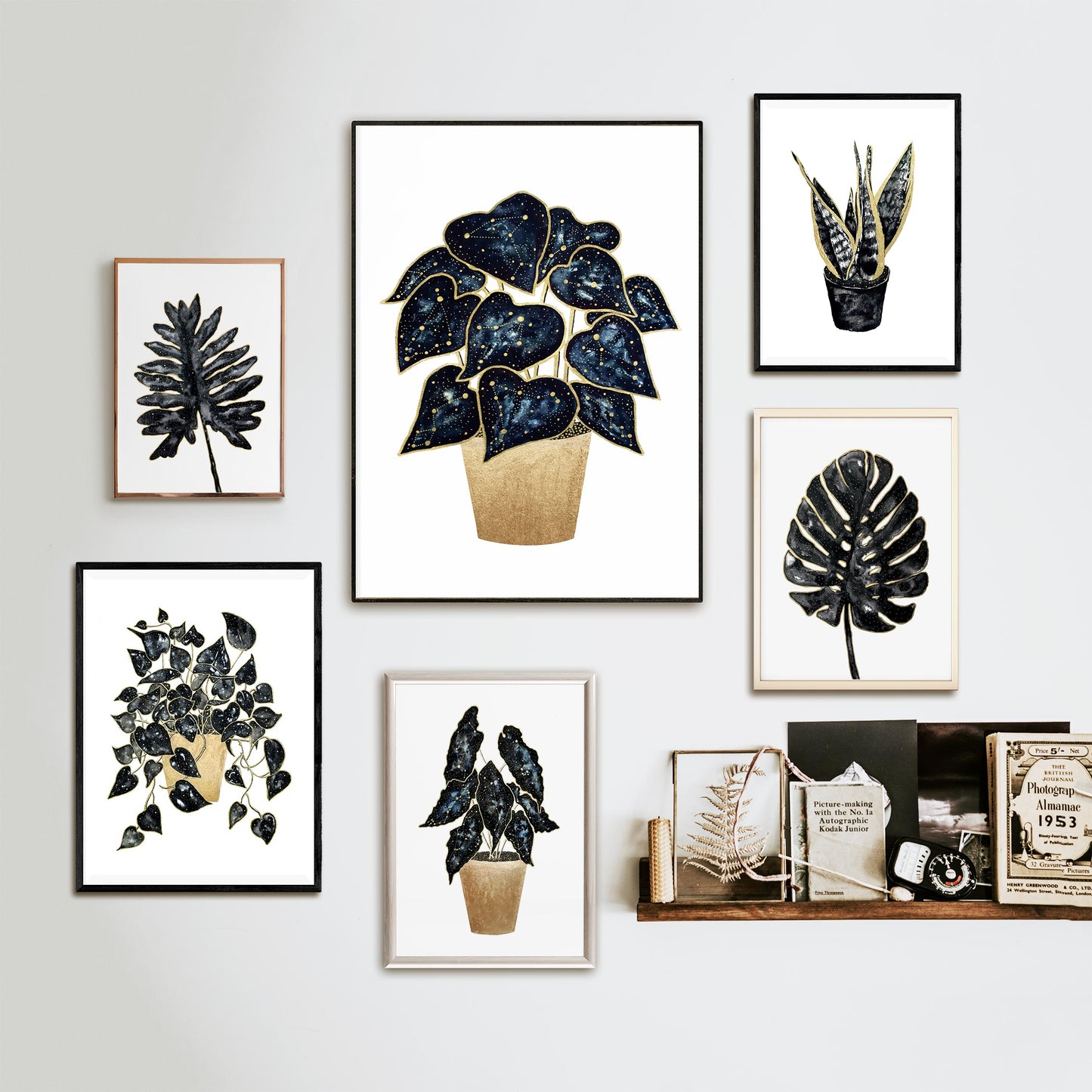 Affiche Botanique et Céleste, Illustration de Plante et Constellations
