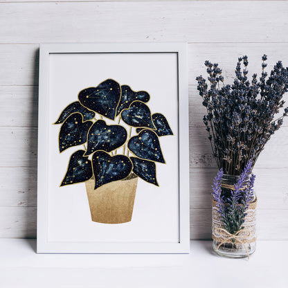 Affiche Botanique et Céleste, Illustration de Plante et Constellations