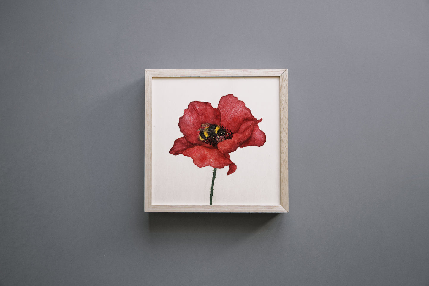 Affiche de Coquelicot et Bourdon, Affiche Florale, Illustration Botanique