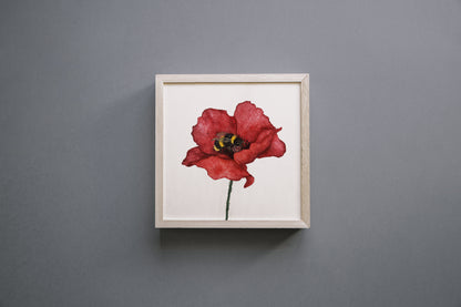 Affiche de Coquelicot et Bourdon, Affiche Florale, Illustration Botanique