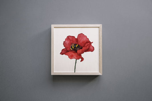 Affiche de Coquelicot et Bourdon, Affiche Florale, Illustration Botanique