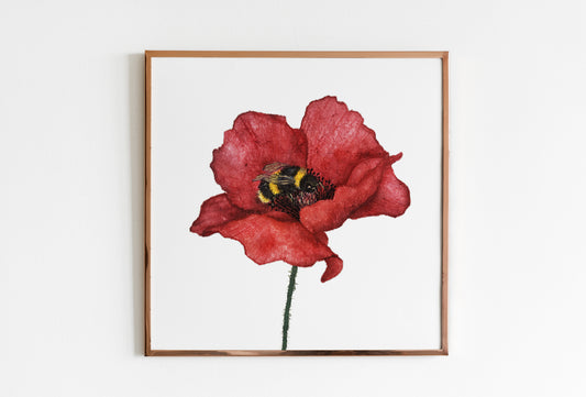 Affiche de Coquelicot et Bourdon, Affiche Florale, Illustration Botanique