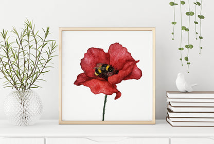 Affiche de Coquelicot et Bourdon, Affiche Florale, Illustration Botanique