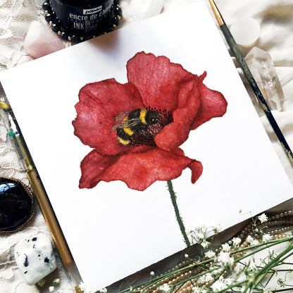 Affiche de Coquelicot et Bourdon, Affiche Florale, Illustration Botanique