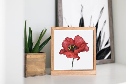 Affiche de Coquelicot et Bourdon, Affiche Florale, Illustration Botanique