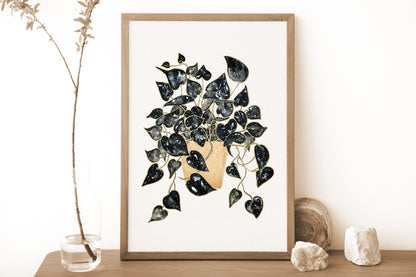 Affiche de plante Pothos, illustration botanique noir et or