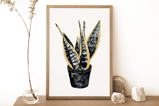 Affiche de plante Haworthia, illustration botanique en noir et or