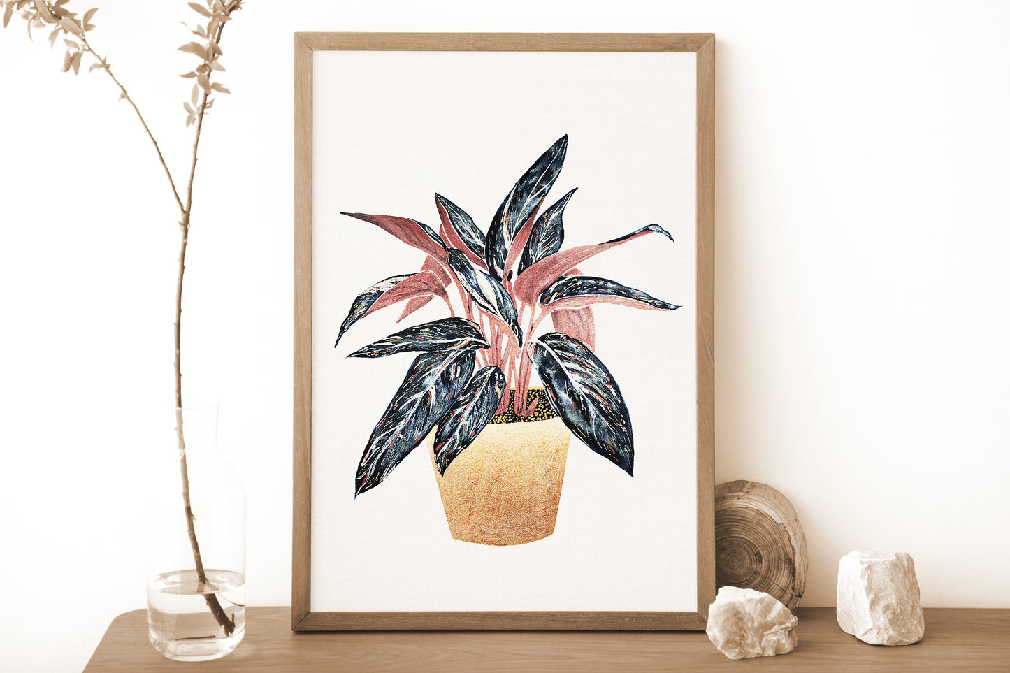 Affiche de plante Stromanthe, illustration botanique colorée