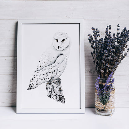 Affiche de Chouette Harfang