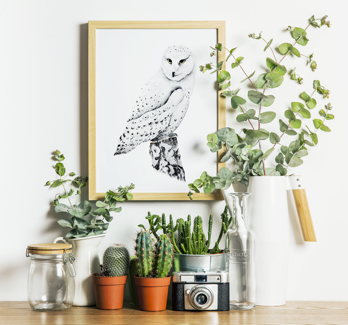 Affiche de Chouette Harfang