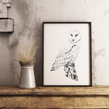 Affiche de Chouette Harfang