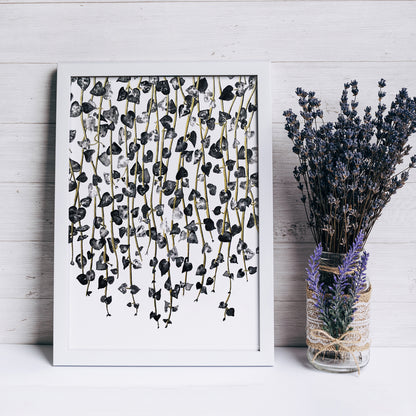 Affiche de plante Chaîne de coeurs, illustration botanique noir et or