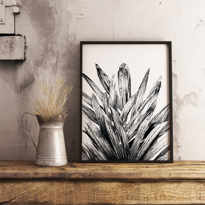 Affiche de palmier, plante tropicale, illustration botanique noir et blanc