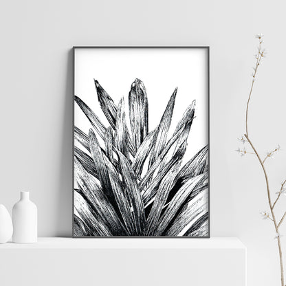 Affiche de palmier, plante tropicale, illustration botanique noir et blanc