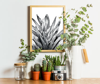 Affiche de palmier, plante tropicale, illustration botanique noir et blanc