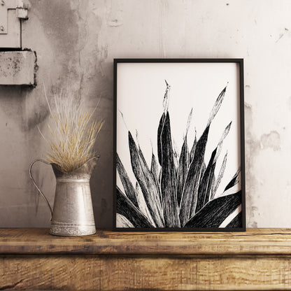 Affiche de plante tropicale, illustration botanique noir et blanc de palmier