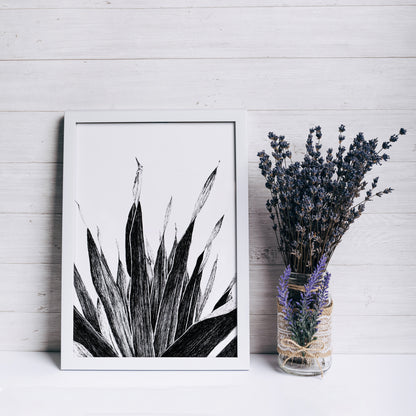 Affiche de plante tropicale, illustration botanique noir et blanc de palmier
