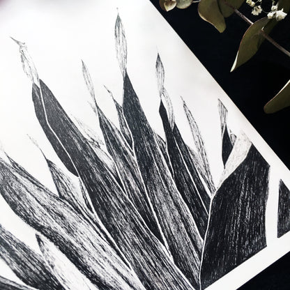 Affiche de plante tropicale, illustration botanique noir et blanc de palmier