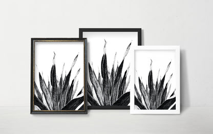 Affiche de plante tropicale, illustration botanique noir et blanc de palmier