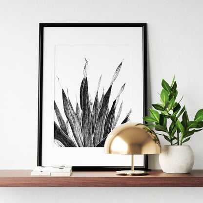 Affiche de plante tropicale, illustration botanique noir et blanc de palmier