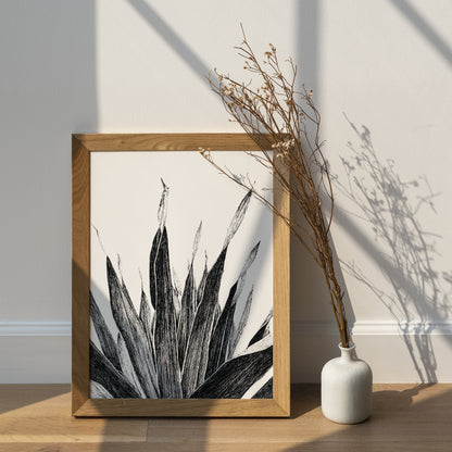 Affiche de plante tropicale, illustration botanique noir et blanc de palmier
