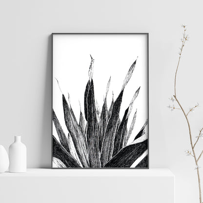 Affiche de plante tropicale, illustration botanique noir et blanc de palmier