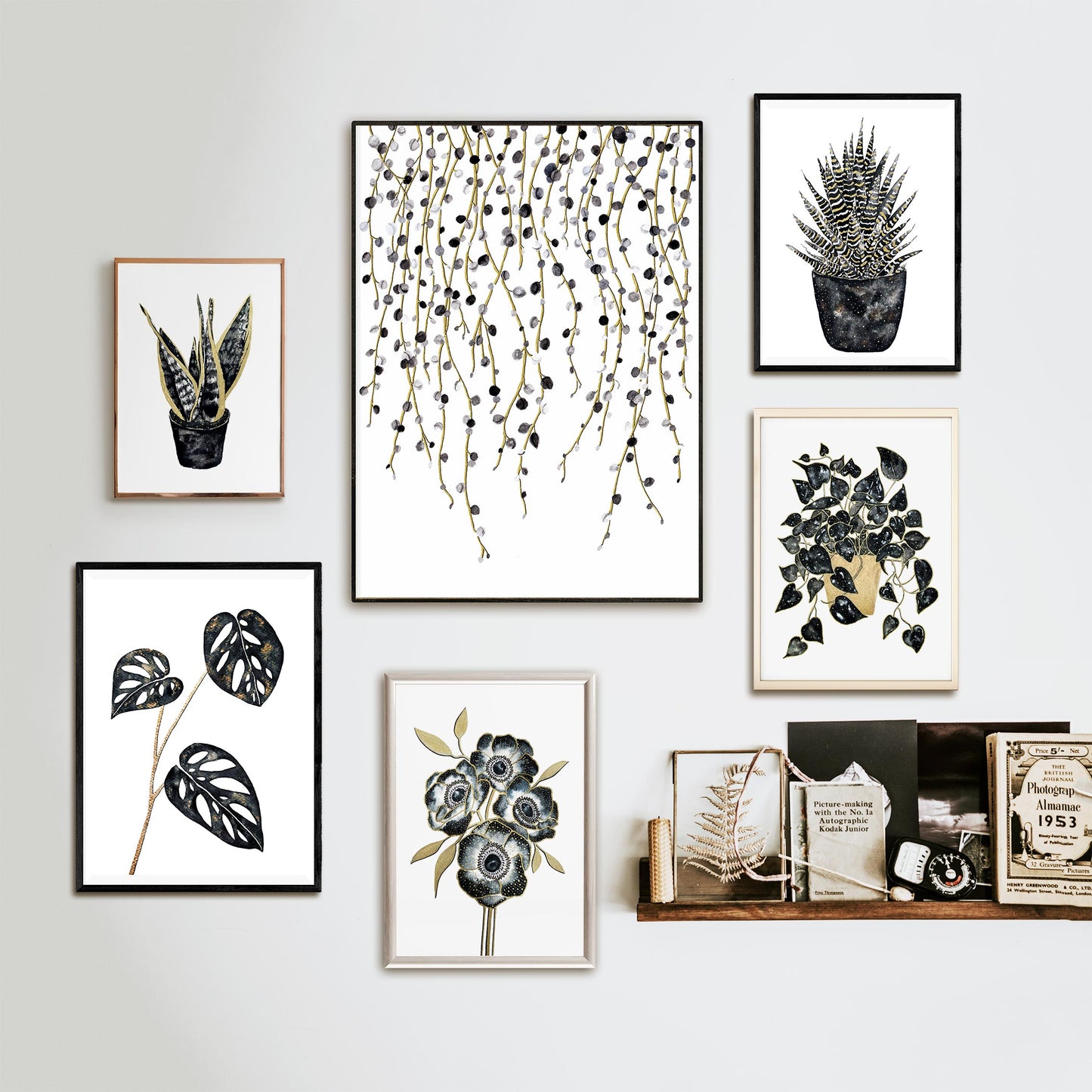 Affiche de plante Chaîne de perles, illustration botanique noir et or