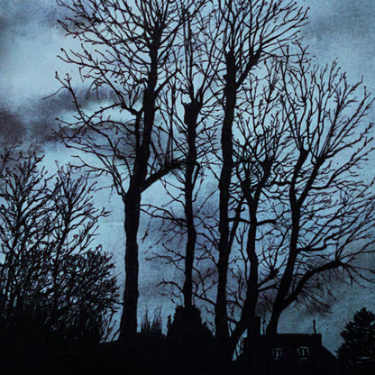 Affiche d'Arbre dans la nuit II, Illustration de Paysage