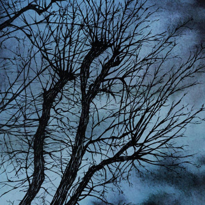 Affiche d'Arbre dans la nuit, Illustration de Paysage