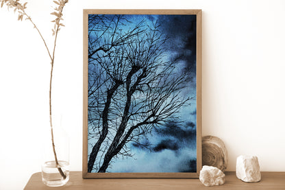 Affiche d'Arbre dans la nuit, Illustration de Paysage